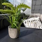 Otel Fruehstueckshotel 3*