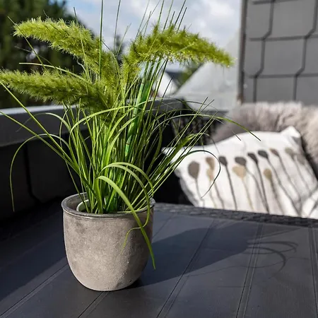 מלון Fruehstueckshotel 3*